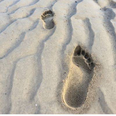 Persönliches Budget Persönliches Budget