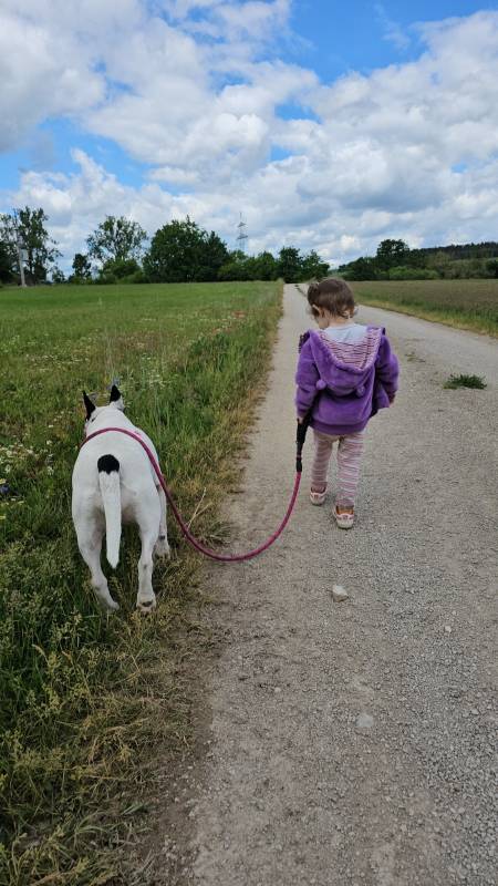 Canepädagogik Canepädagogik